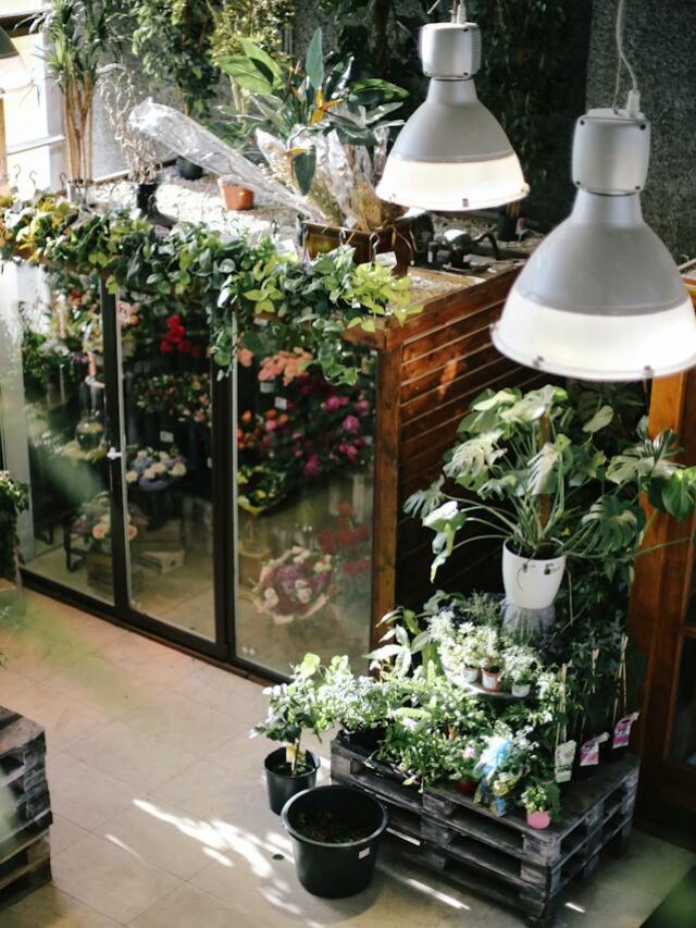 Ideas For Building Your Own Indoor Greenhouse